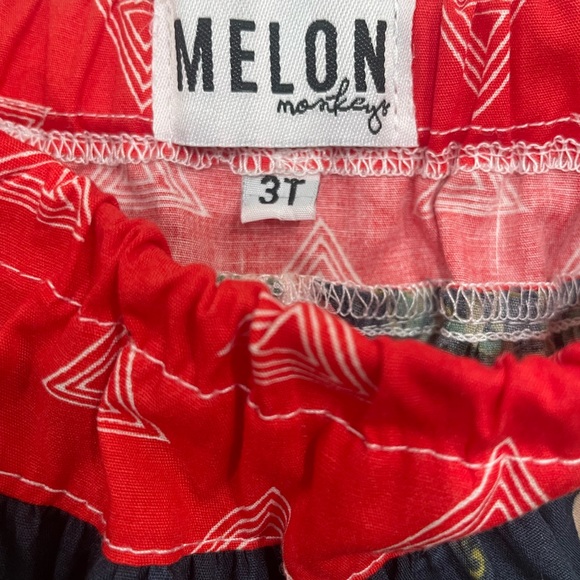 EUC Girls 3T Melon Monkey Skirt. Rose Pattern. Green and Red. Multi Fabric. - Picture 5 of 7